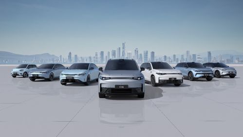 零跑汽車2024上半年財(cái)報(bào)分析 交付量創(chuàng)歷史新高，營銷網(wǎng)絡(luò)持續(xù)優(yōu)化助力銷售增長