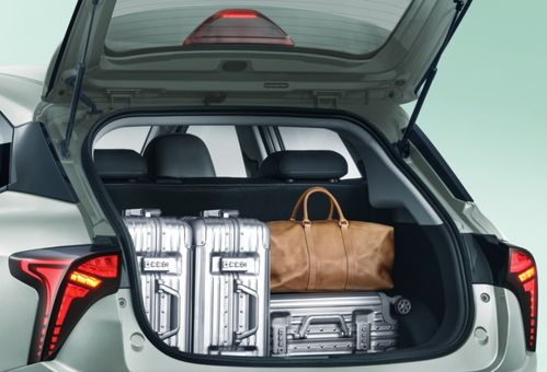 新勢力不止“蔚小理”，純電代步小車市場還有這些實力選擇